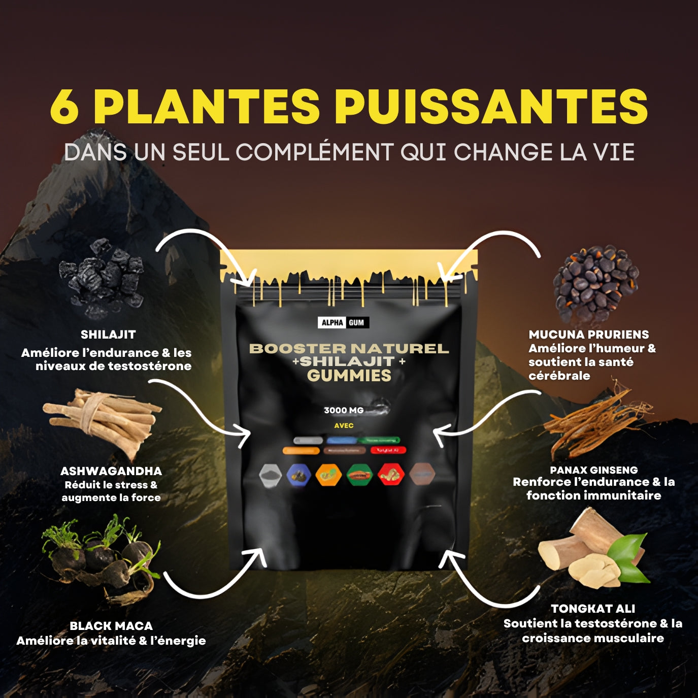 Gummies Shilajit - AlphaGum